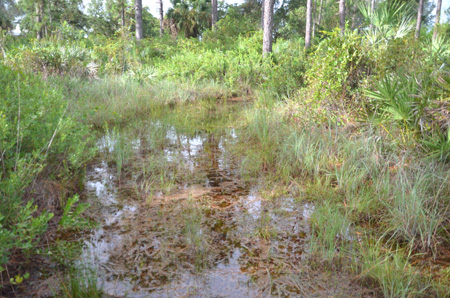 Seasonal flooded trail