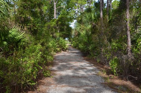 old Trans Florida Rails-to-Trails